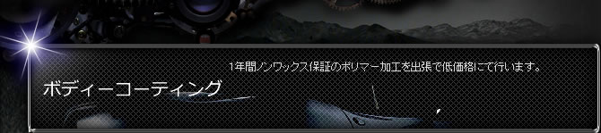 ボディーコーティング 1年間ノンワックス保証のポリマー加工を出張で低価格にて行います。